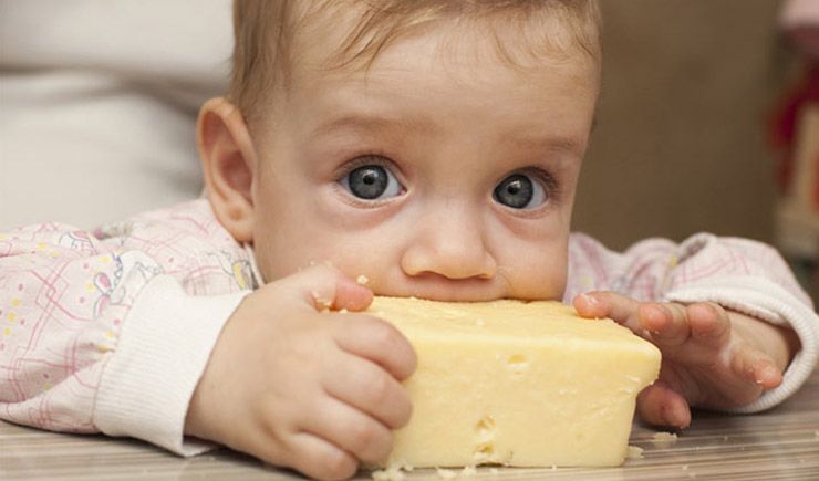 Bebekler ne zaman peynir yiyebilir?