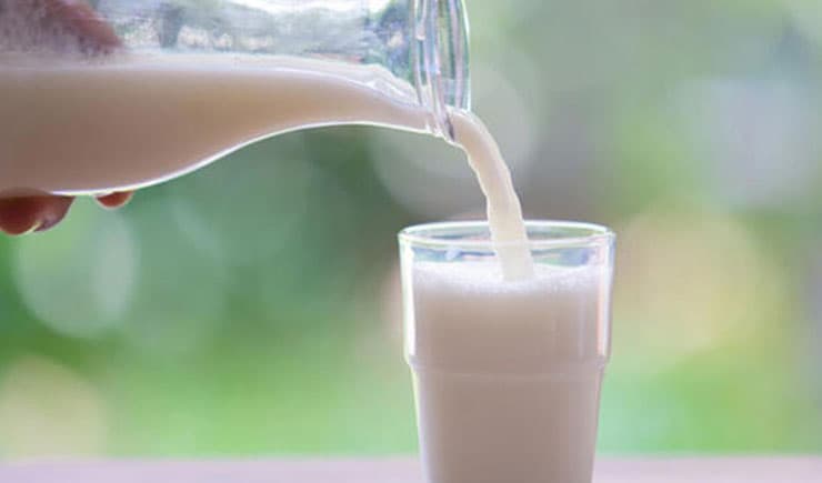Günlük süt nedir, faydaları nelerdir?