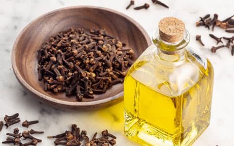 Karanfil yağı nasıl kullanılır?