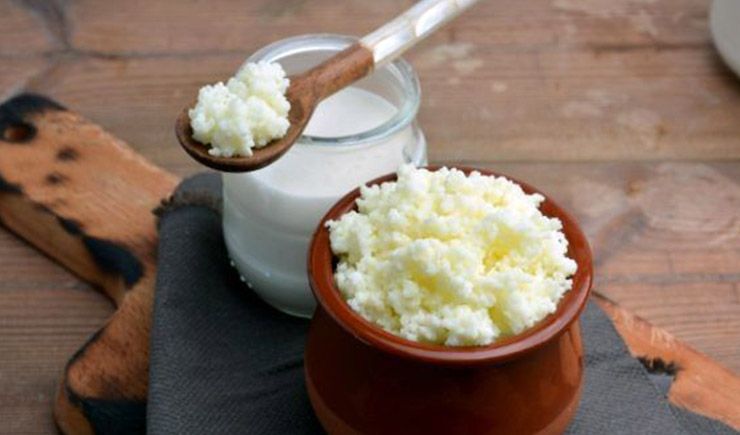 Kefir mayası nedir, faydaları nelerdir?