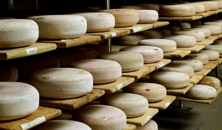 Olgunlaştırılmış peynir nedir, peynir nasıl olgunlaştırılır?