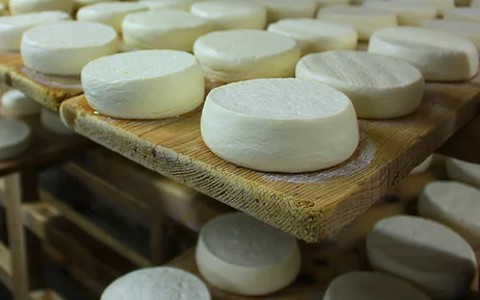 peynir nasıl olgunlaştırılır