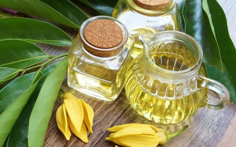 ylang ylang yağı ne işe yarar