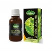 Mindivan Çay Ağacı Yağ 20 ml ürünü