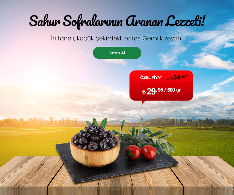 Gemlik Zeytin