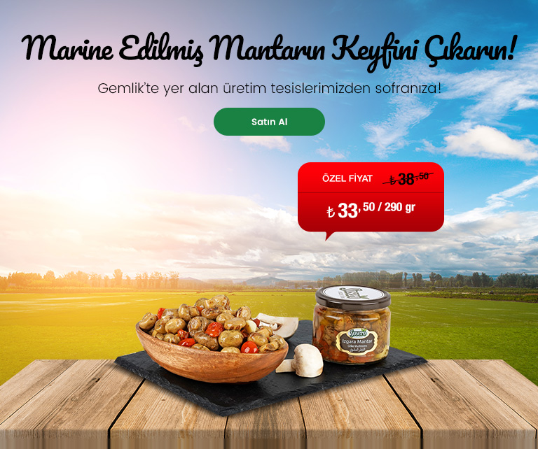 Sosero Izgara Mantar