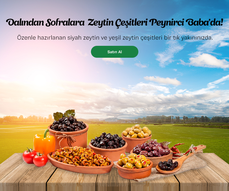 Zeytin Çeşitleri